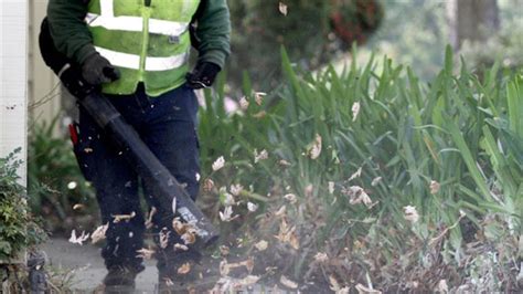 Montgomery County leaf blower ban goes silent — for now